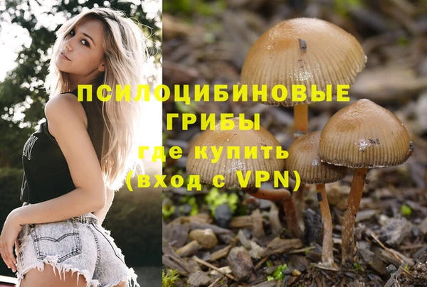 spice Медвежьегорск