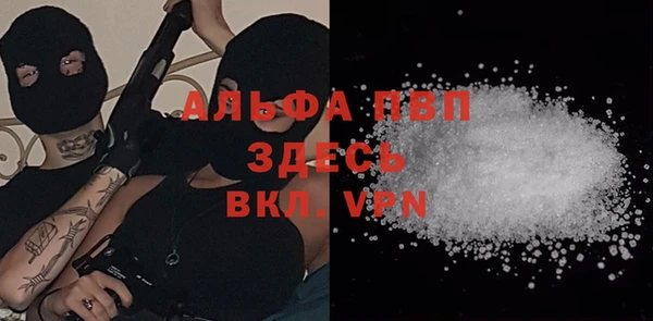 сатива Михайловка