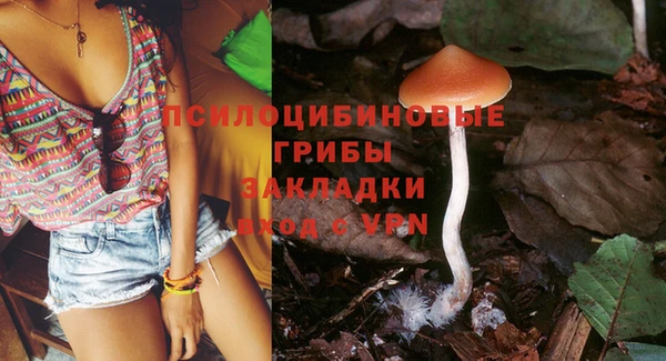 spice Медвежьегорск