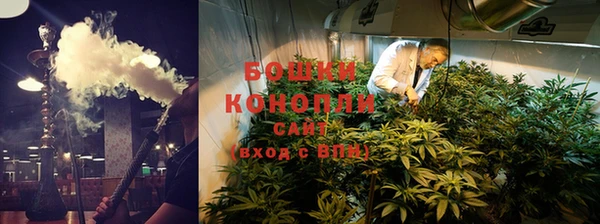 spice Медвежьегорск