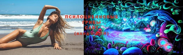 spice Медвежьегорск