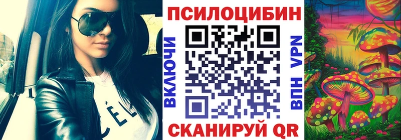 как найти закладки  Чебоксары  это наркотические препараты  Псилоцибиновые грибы мухоморы 