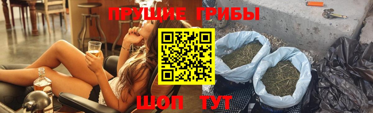 Псилоцибиновые грибы Magic Shrooms  Чебоксары 